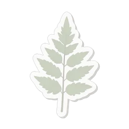 Fern