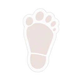 Footprint