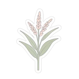 Pianta di riso