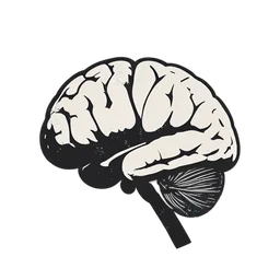 Внутренняя часть мозга