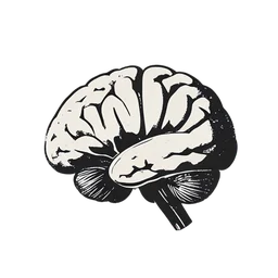 Órgano del cerebro