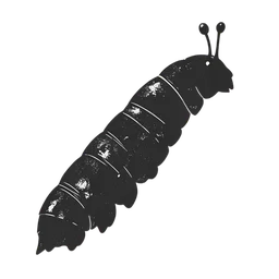 หนอนผีเสื้อ