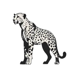 cheetah