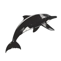 Dolphin icon preview