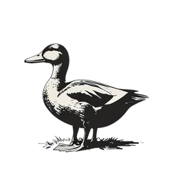 Farmhuhn