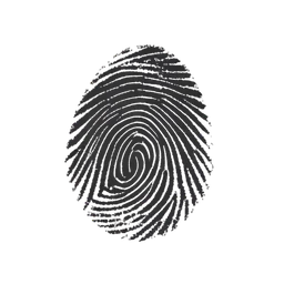 ลายนิ้วมือ icon preview