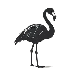 นกฟลามิงโก icon preview