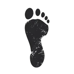 Voetafdruk