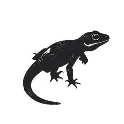  gecko