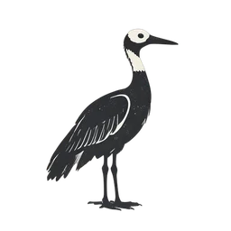 Kaczka