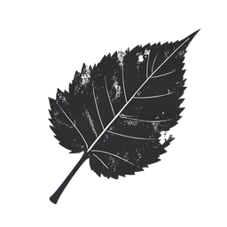 나뭇잎 icon preview