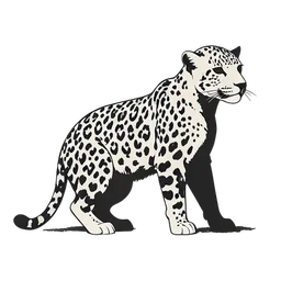 leopard