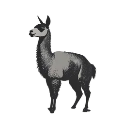 Llama