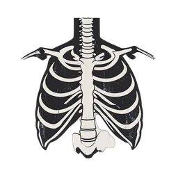 القفص الصدري