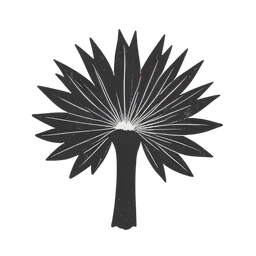 ดอกไม้ทะเล