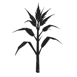 Zuckerrohr icon preview