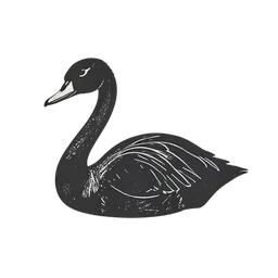 Swan